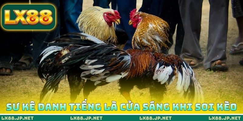 Sư kê danh tiếng là cửa sáng khi soi kèo
