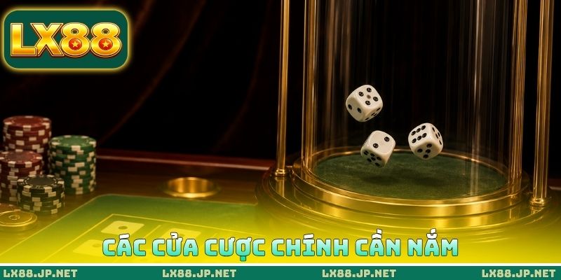 Các cửa cược chính cần nắm