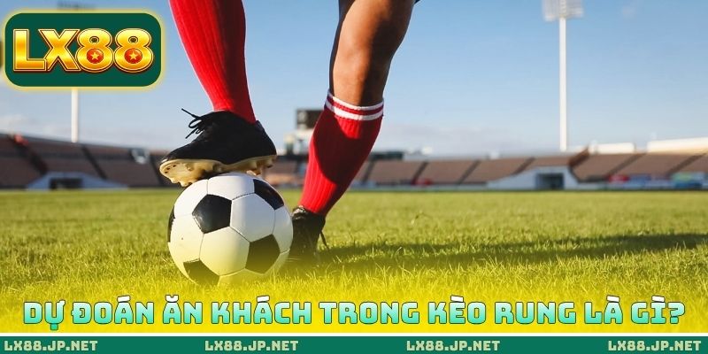 Cách dự đoán ăn khách trong kèo rung là gì?