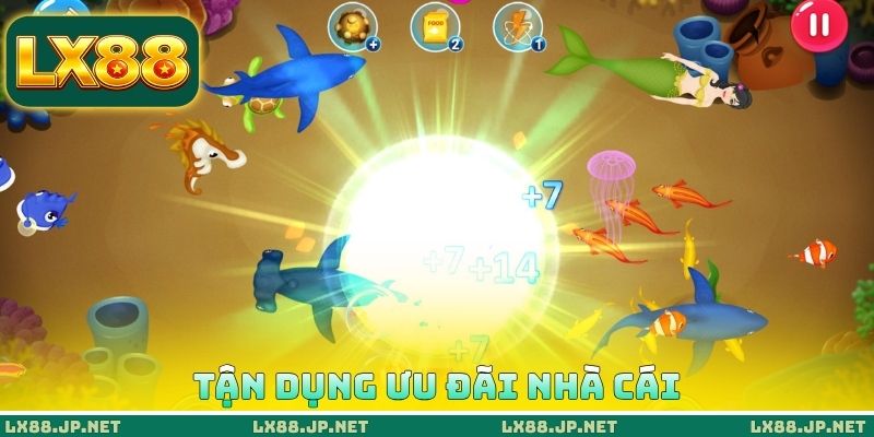 Tận dụng ưu đãi nhà cái